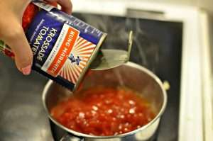 Salsa Sauce Recipe